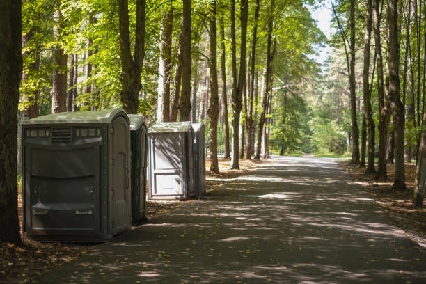 Porta potty rental for festivals in Capac, MI